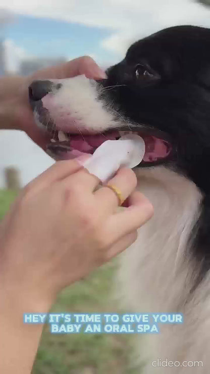 Disposable Dental Finger Wipes For Pets